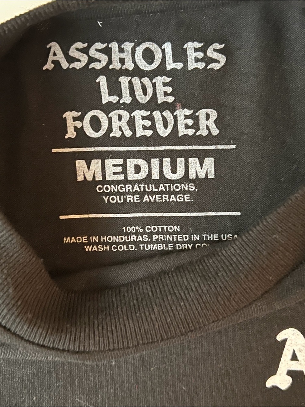 A**holes Live Forever Men’s Medium Black Graphic Logo T-Shirt Front Back Print - Picture 3 of 5